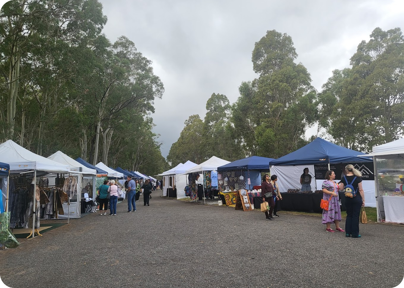 Hunter markets